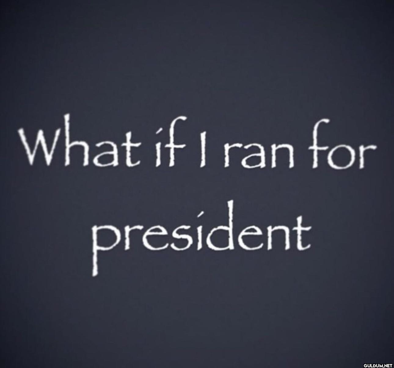 What if I ran for president