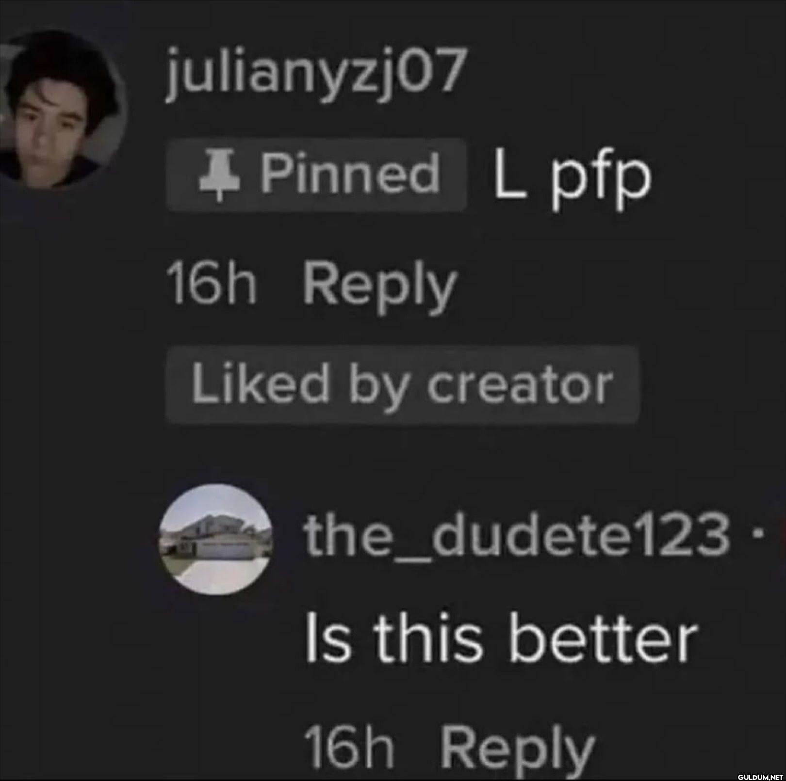 julianyzj07 Pinned L pfp...