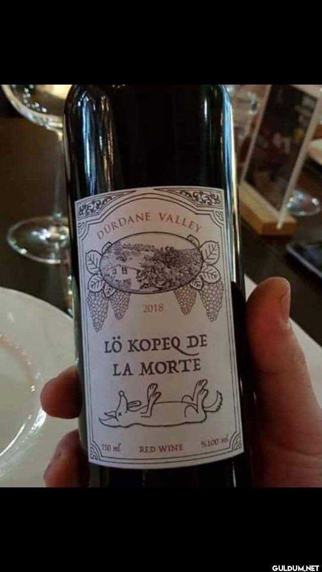 DURDANE VALLEY 2018 LÖ...