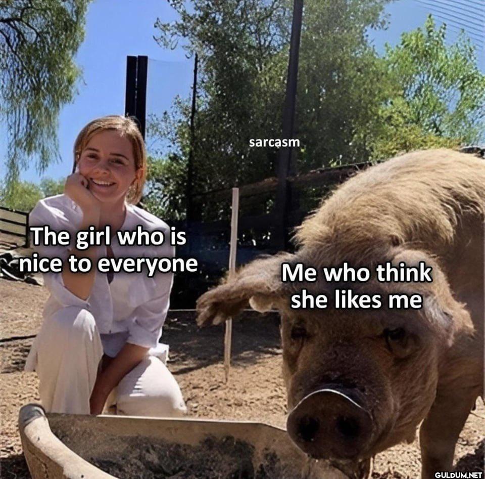 sarcasm The girl who is...