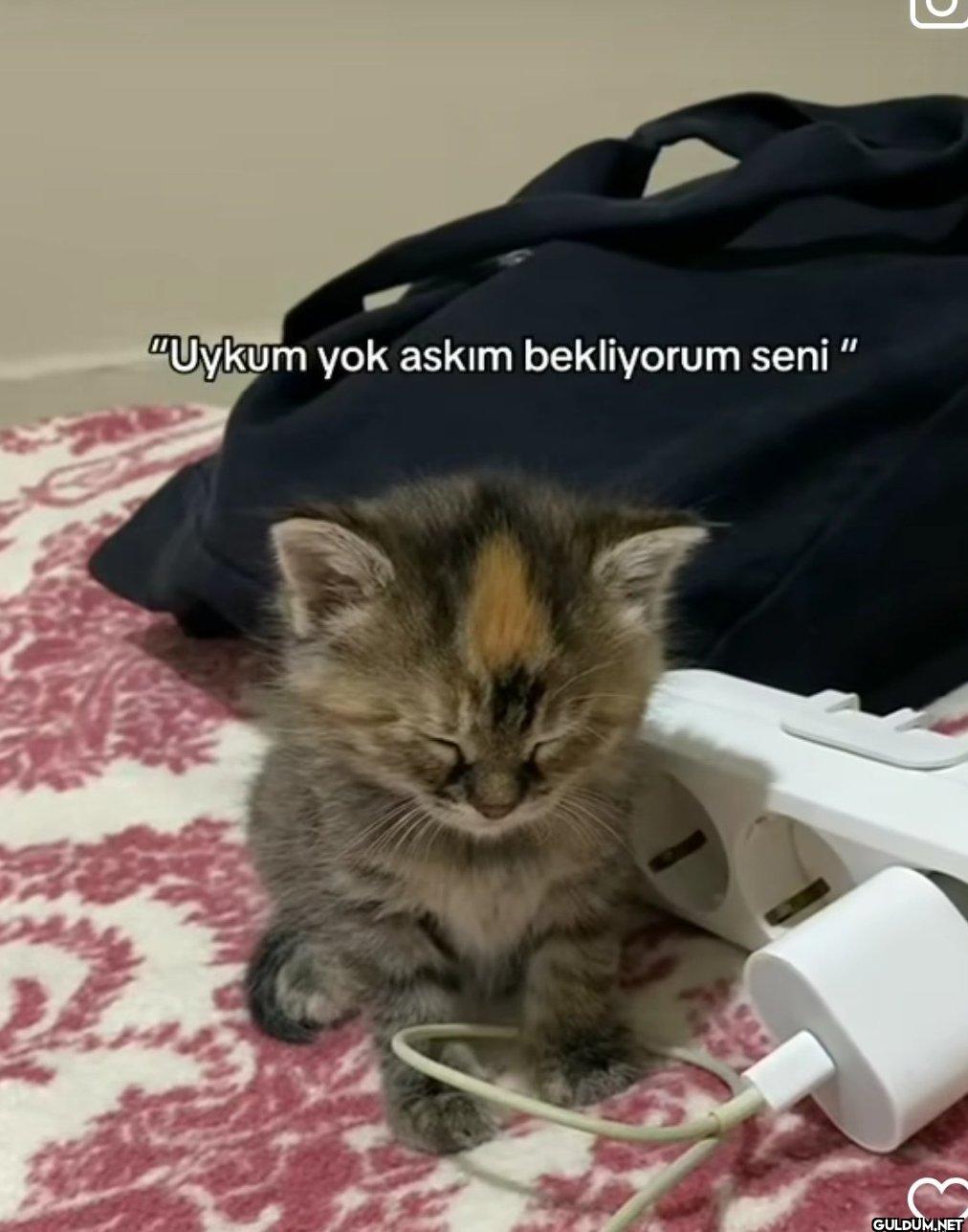 "Uykum yok askım bekliyorum seni