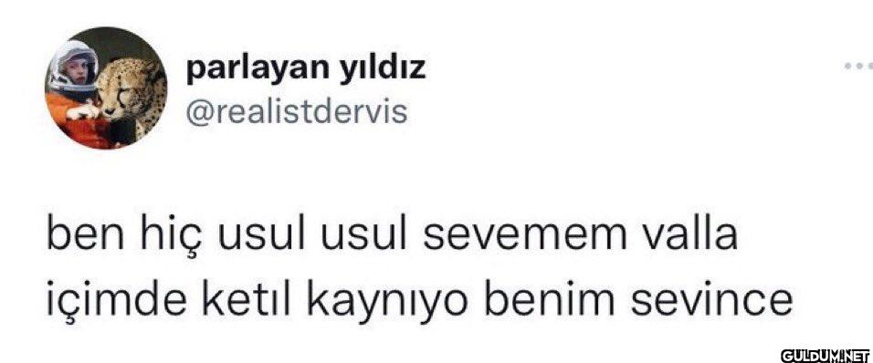 ben hiç usul usul sevemem...