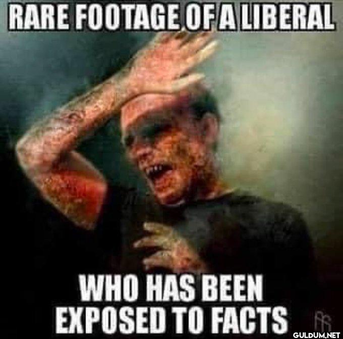Facts do sting a little.  ...