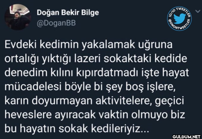 Copy link to post  Doğan...