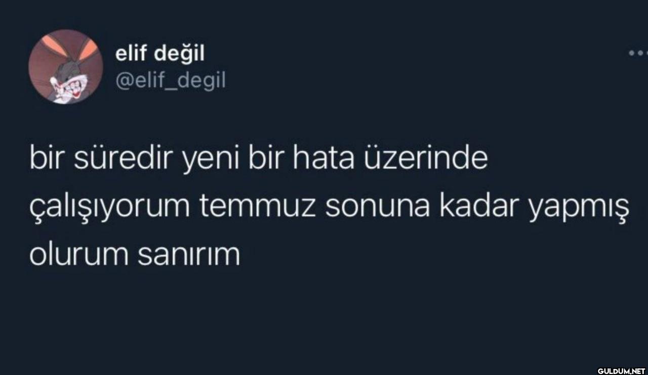 bir süredir yeni bir hata...