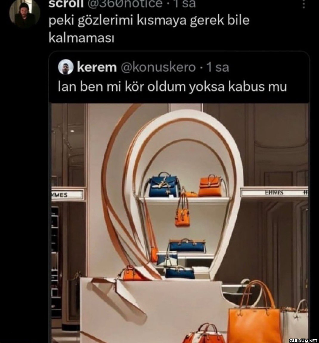 emine Erdoğan a benzeyen...