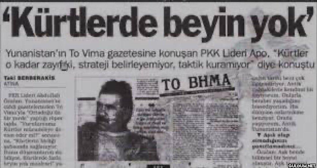 'Kürtlerde beyin yok'...