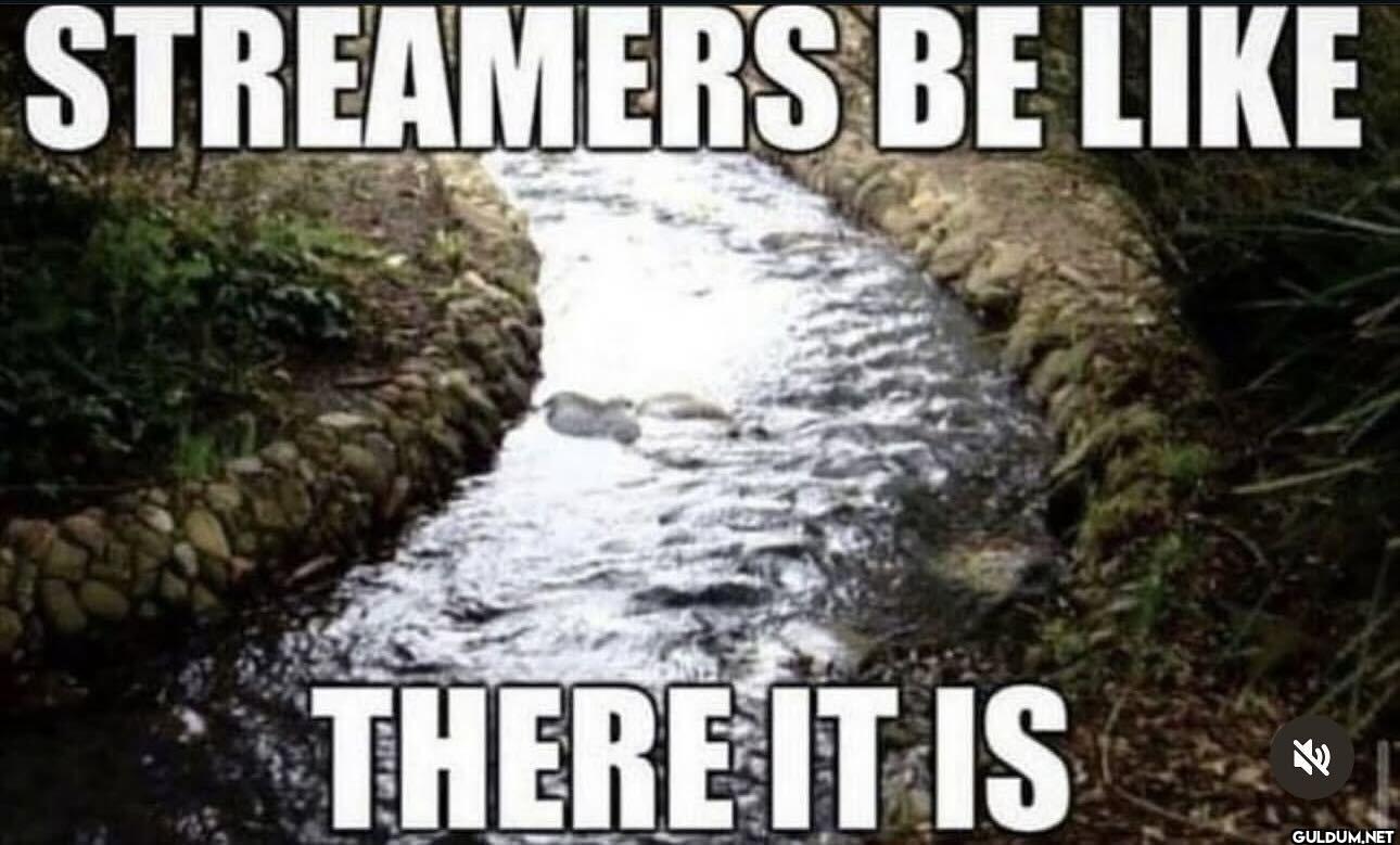 STREAMERS BE THERE IT IS