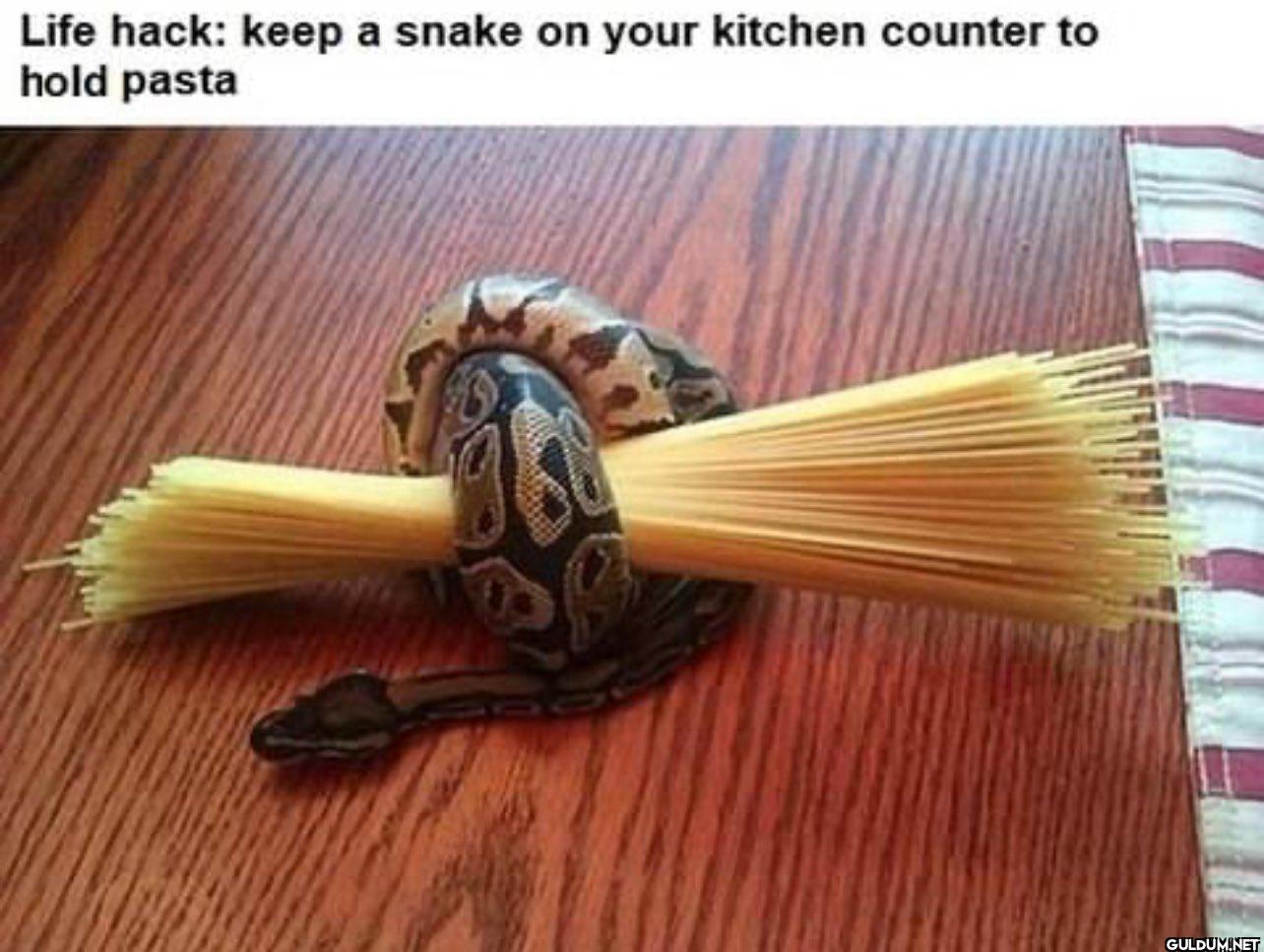 Life hack: keep a snake on...