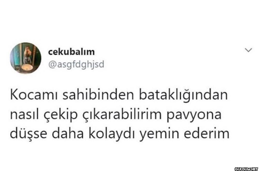 Kocamı sahibinden...