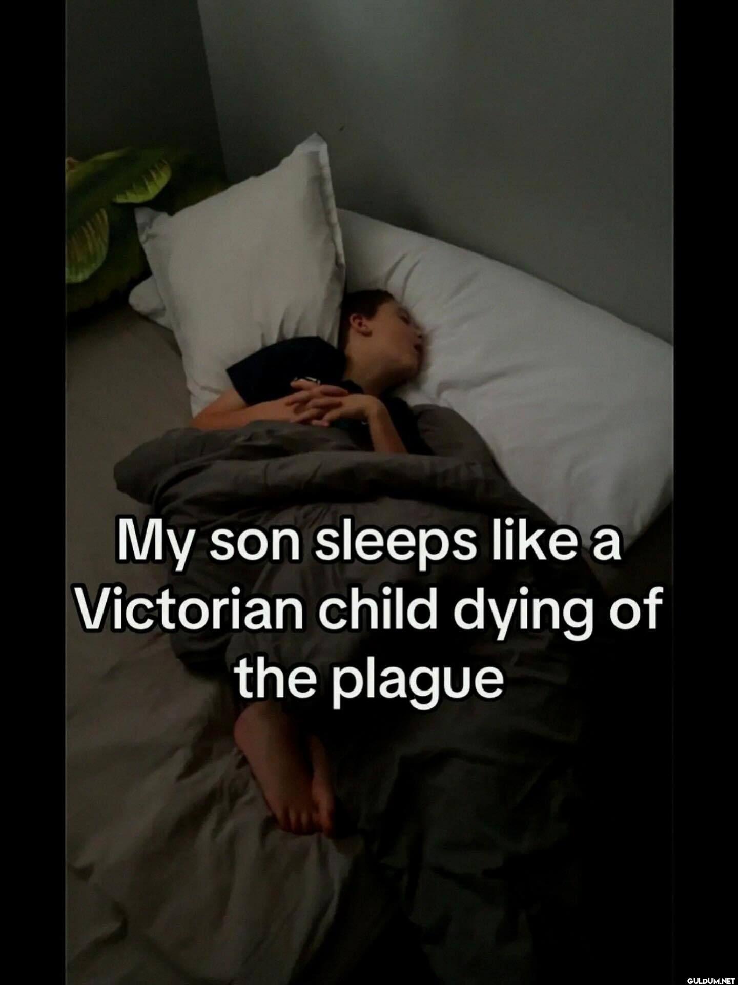 My son sleeps like a...