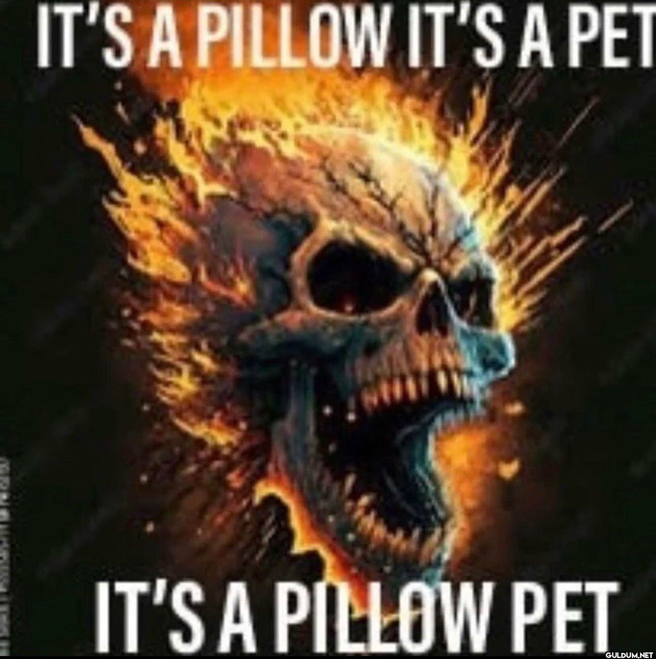 IT'S A PILLOW IT'S A PET...