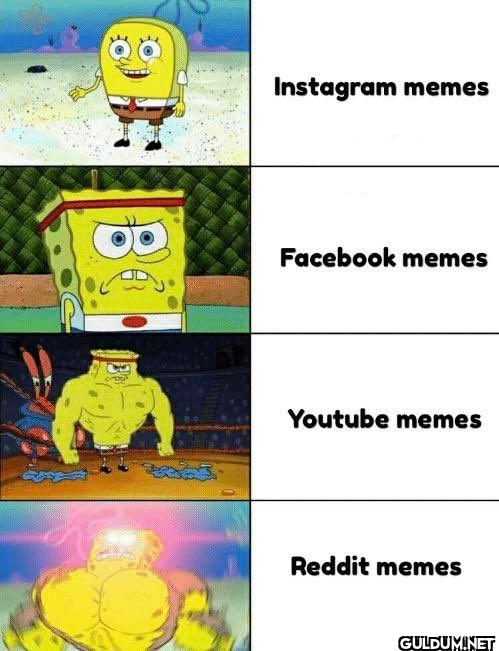 memes Facebook memes...